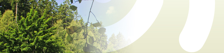 Bannerbild